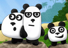 3 Pandas