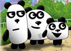 3 Pandas In Fantasy