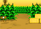 Escape Corn Maze